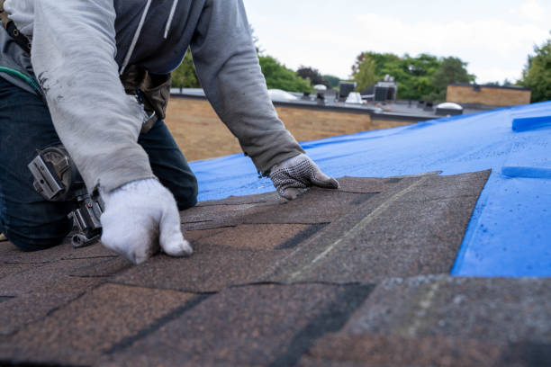 Best Gutter Installation and Roofing  in Druid Hills, GA