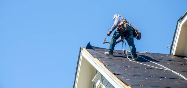 Best Metal Roofing Contractor  in Druid Hills, GA